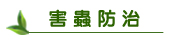 【害蟲防治】東保除蟲．高雄專業除蟲